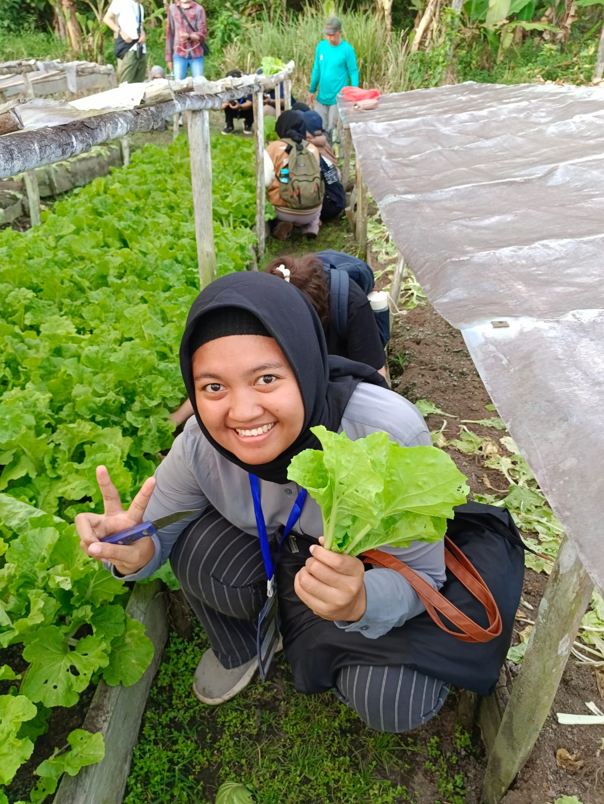 Aktiifitas wisata petik sayur