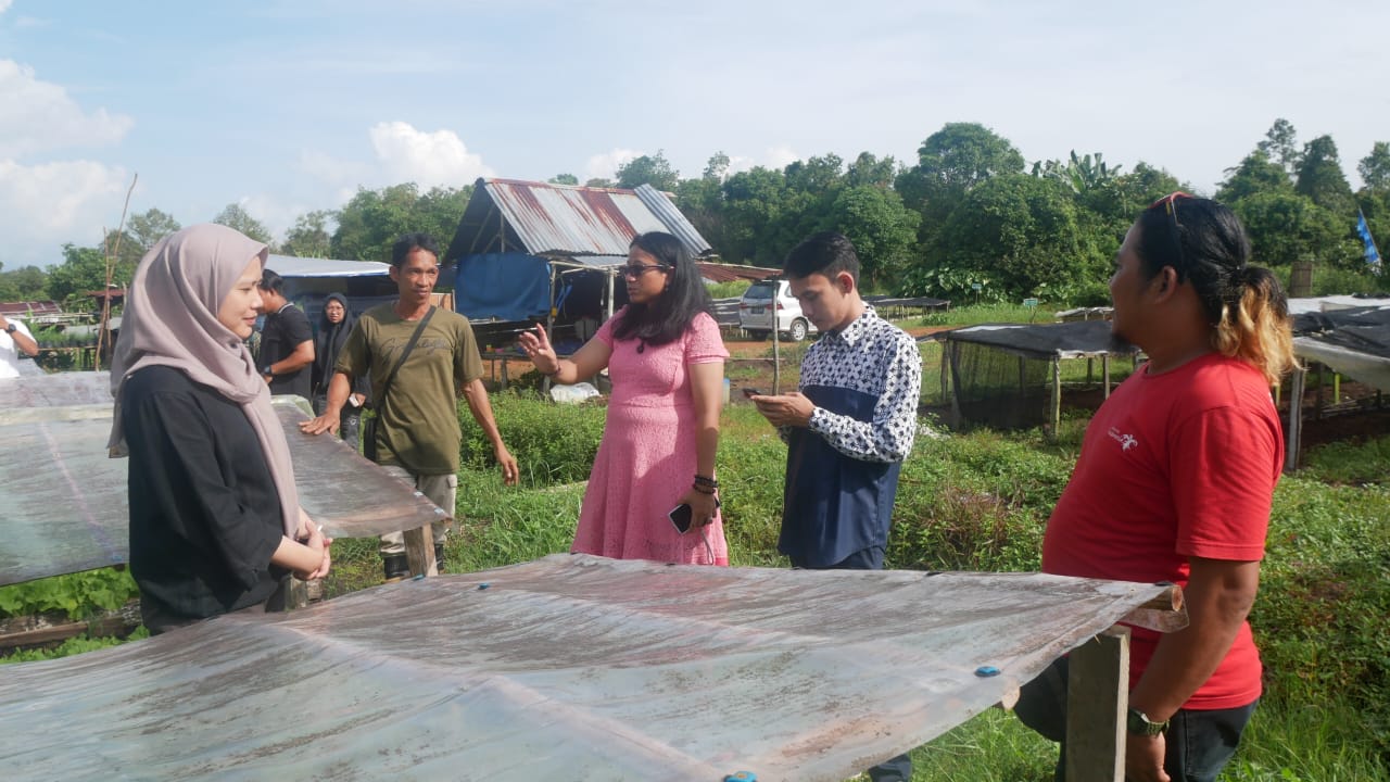 Berdiskusi di kawasan agrowisata dengan pengelola perkebunan sayur masyarakat.