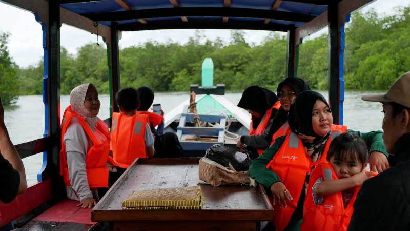 Wisata telusur mangrove, berwisata sambil ikut serta menjaga kelestarian hutan mangrove.