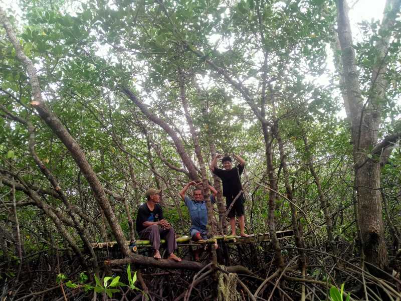 Manfaat Pengembangan Ekowisata Di Desa Wisata