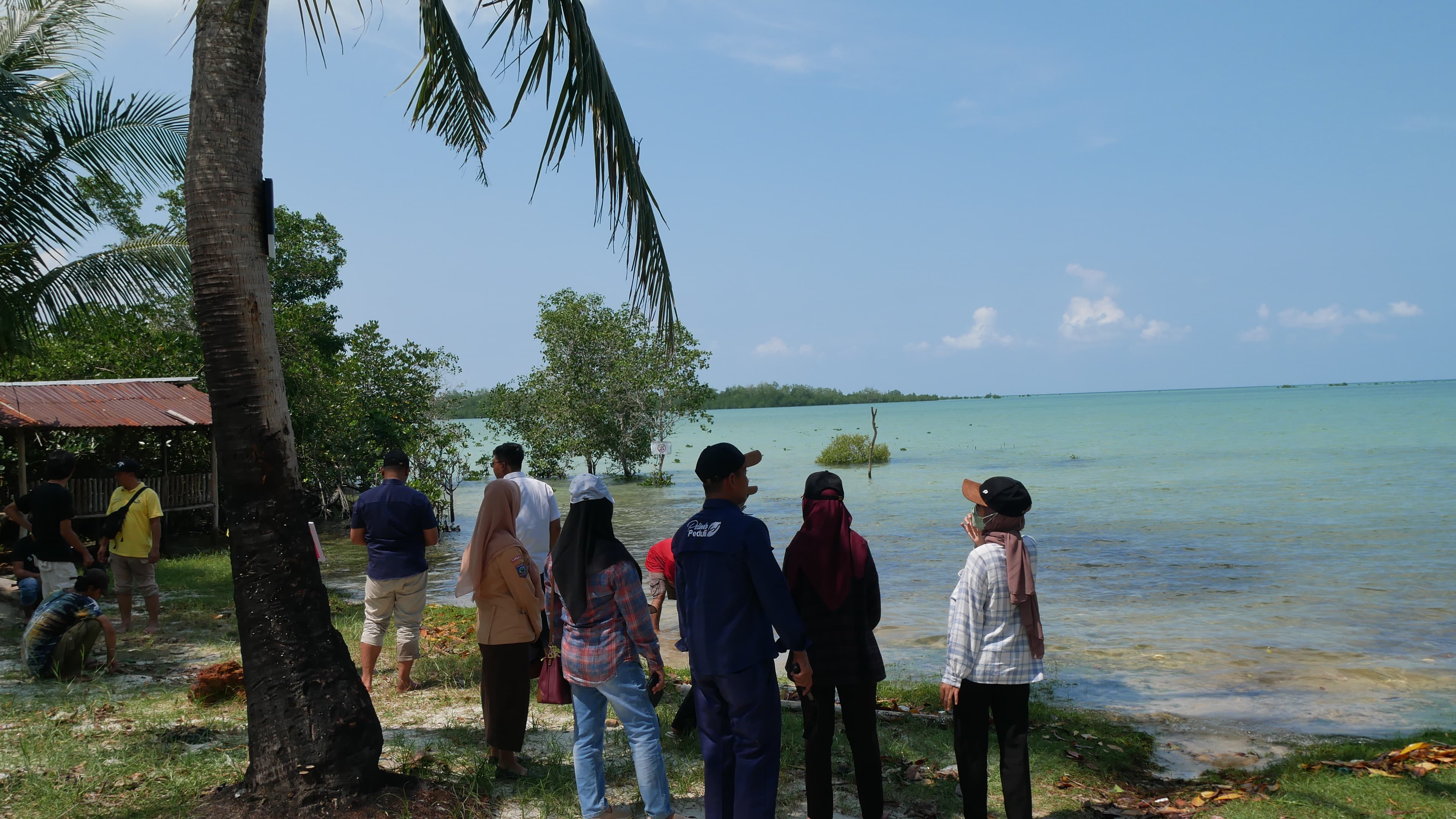 Lestarikan Hutan Mangrove Dan Pantai Bersama Pt Pelindo Persero