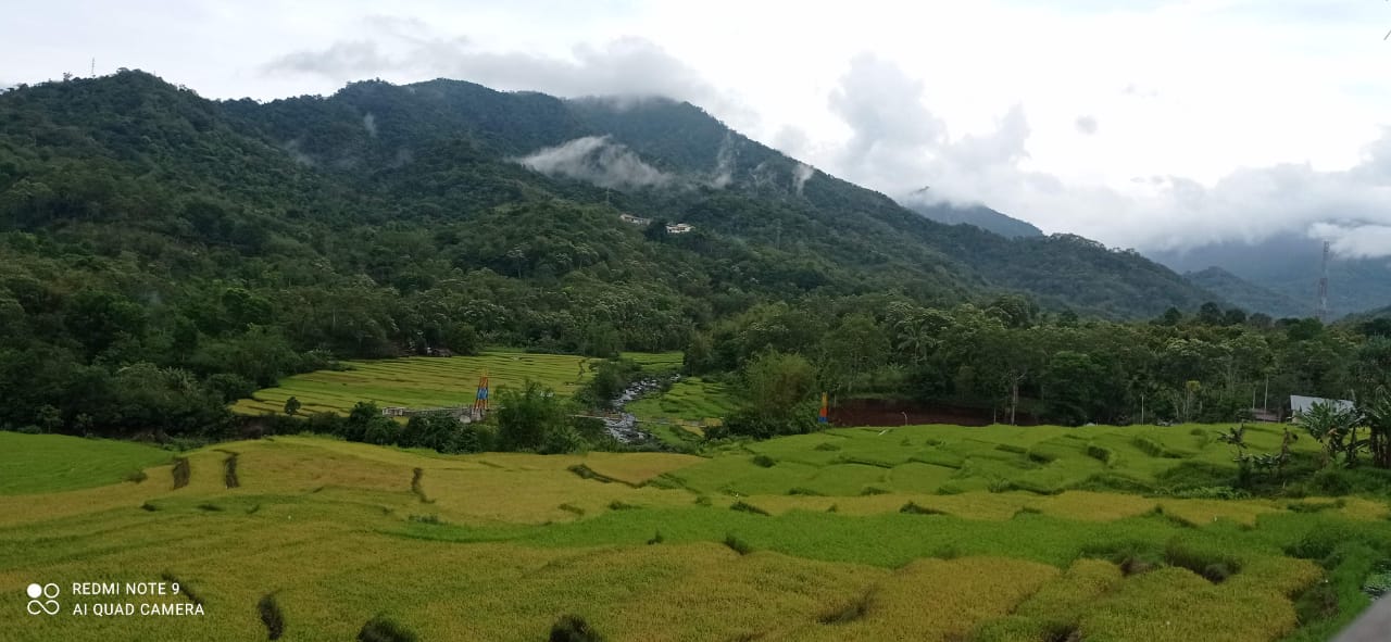 Pemandangan dan panorama pertanian masyarakat Desa Wisata Detusuko Ende, Flores.