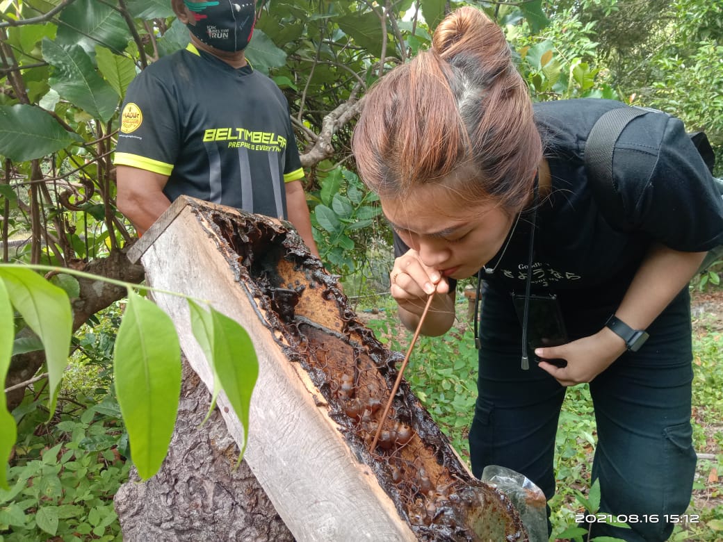 Berkunjung ke ternak madu trigona Desa Wisata Kreatif Terong