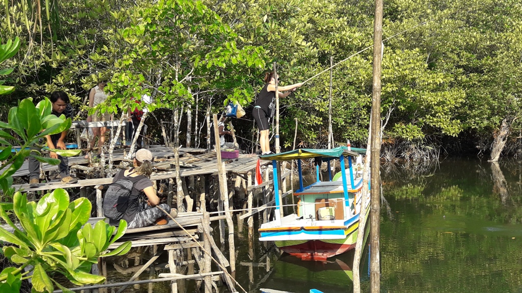 Paket Wisata Mancing Ikan Beluko Di Mangrove