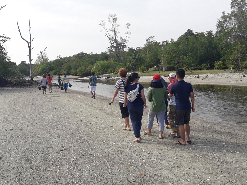 Destinasi Wisata Mangrove Dan Pantai